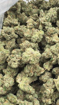 Purple Summit Farms THC-A Indoor Flower Platinum OG Hybrid (SINGLE) [DROPSHIP]