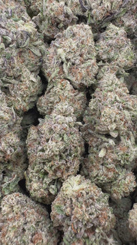 THC-A Flower Trufflez Hybrid (Light Dep)
