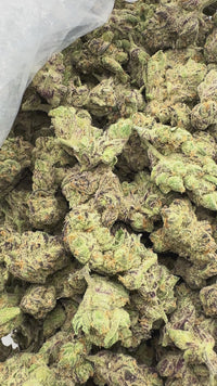 Purple Summit Farms THC-A Indoor Flower Honey Biscotti Hybrid (SINGLE) [DROPSHIP]