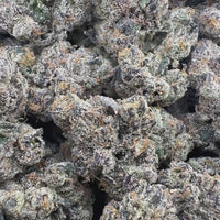 THC-A Flower Black Gelato Hybrid (Indoor)