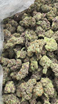 Purple Summit Farms THC-A Indoor Flower Smalls Orange Octane Hybrid (SINGLE) [DROPSHIP]