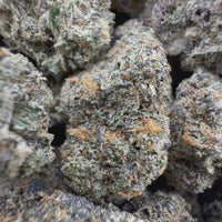 THC-A Flower Trufflez Hybrid (Light Dep)