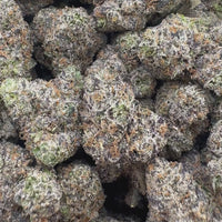 THC-A Flower Lemon Cherry Gelato Hybrid (Indoor)