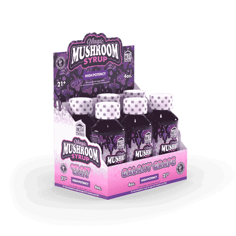 TRE House Mushroom Syrup (6/pack) [DROPSHIP]