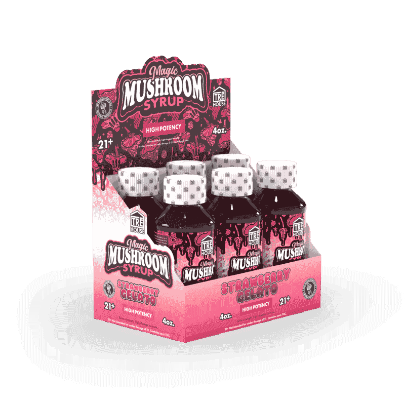 TRE House Mushroom Syrup (6/pack) [DROPSHIP]