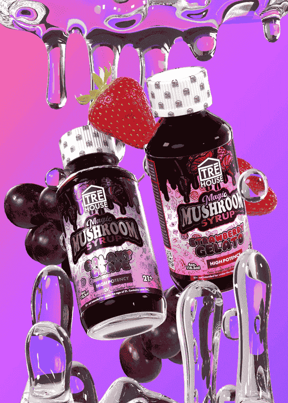 TRE House Mushroom Syrup (6/pack) [DROPSHIP]