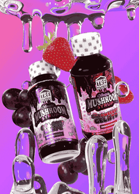 TRE House Mushroom Syrup (6/pack) [DROPSHIP]