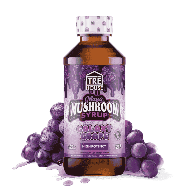 TRE House Mushroom Syrup (6/pack) [DROPSHIP]