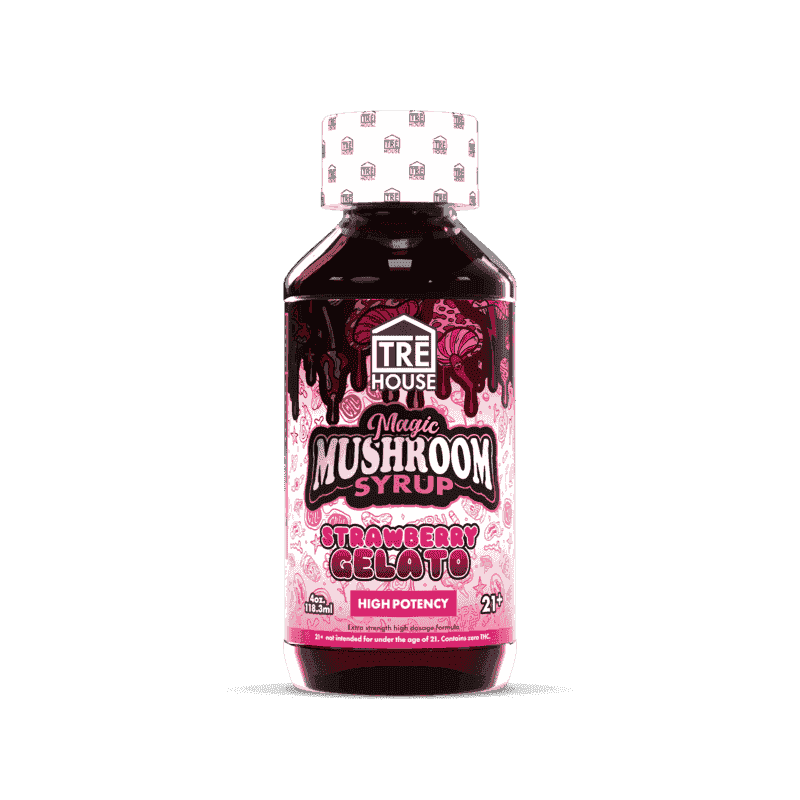 TRE House Mushroom Syrup (6/pack) [DROPSHIP]
