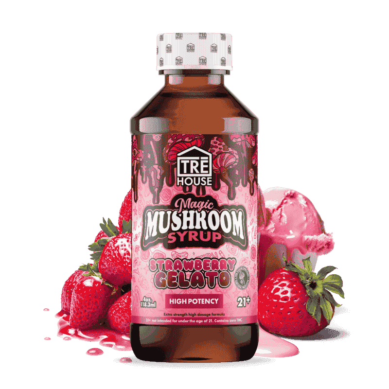 TRE House Mushroom Syrup (6/pack) [DROPSHIP]