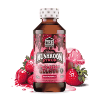 TRE House Mushroom Syrup (6/pack) [DROPSHIP]