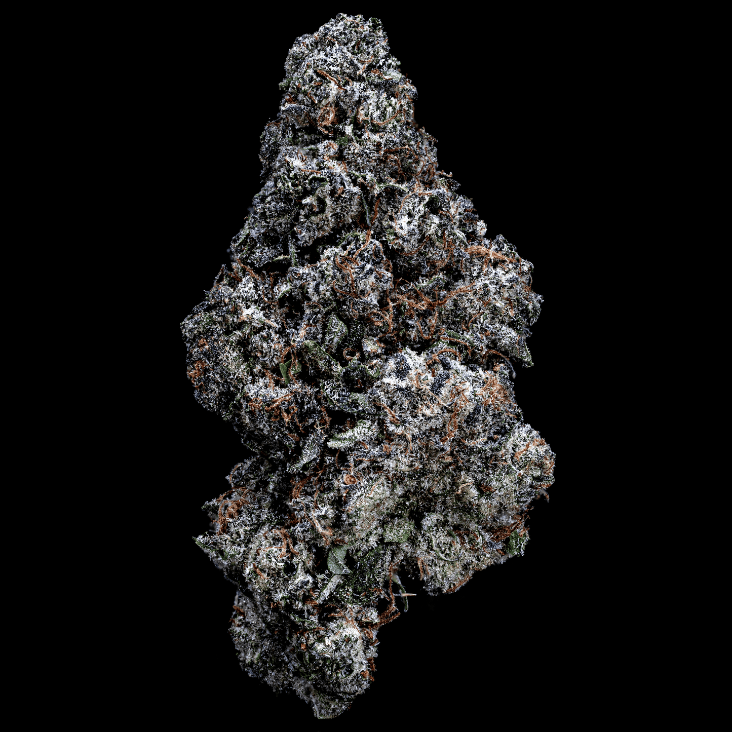 Topshelf NC THC-A Flower Tropic Super Jet (SINGLE) [DROPSHIP]