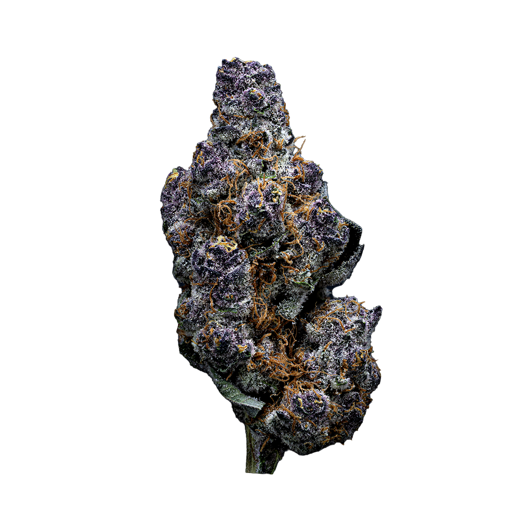 Topshelf NC THC-A Flower Tropicana Cherry (SINGLE) [DROPSHIP]
