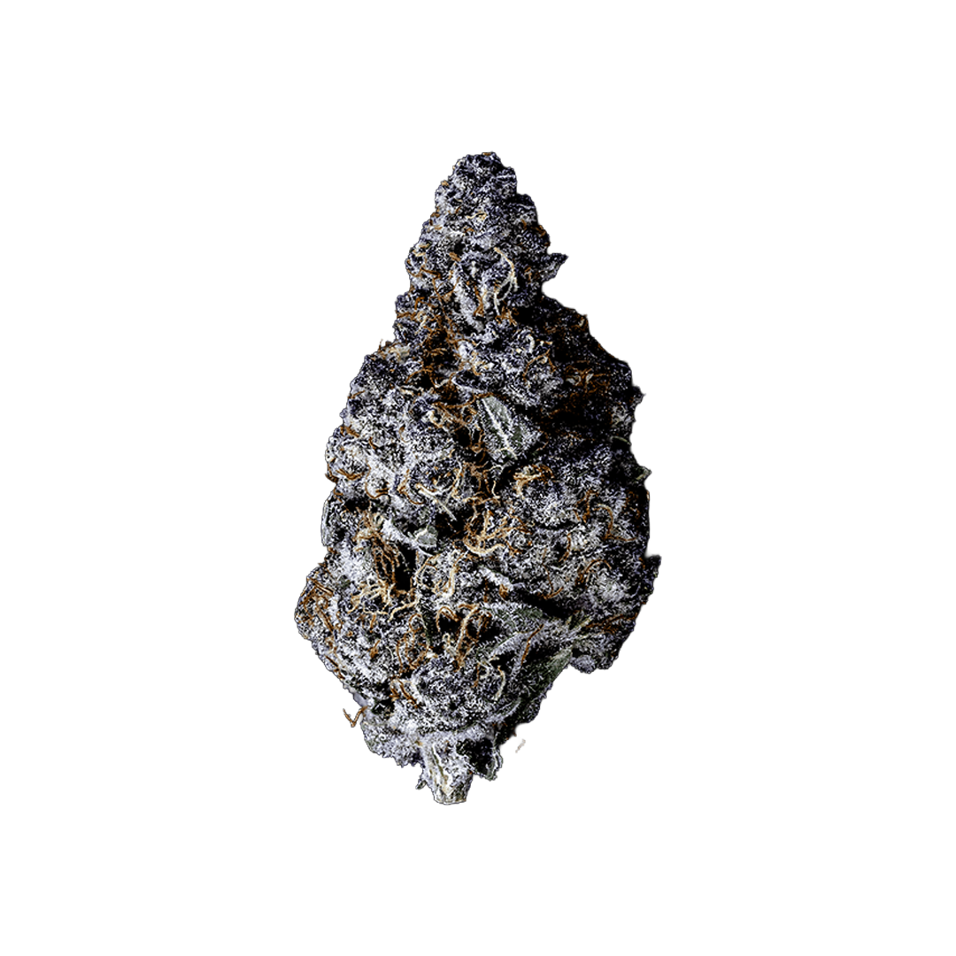 Topshelf NC THC-A Flower Tropicana Cherry (SINGLE) [DROPSHIP]