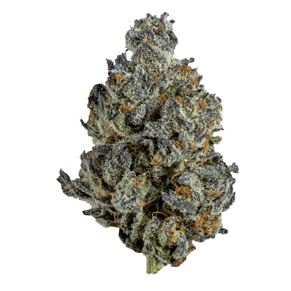 Sluggers Premium Flower Bag 3.5g (SINGLE)