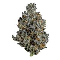 Sluggers Premium Flower Bag 3.5g (SINGLE)